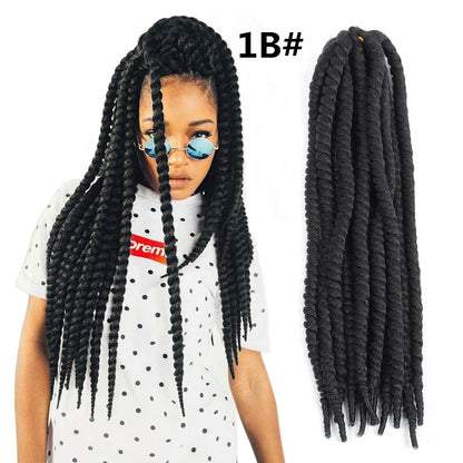 Spring Braid Wig 22 Inches