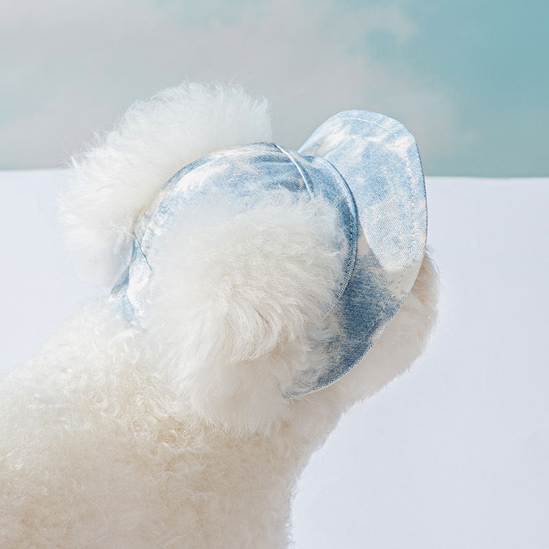 Pet Hat Cute Leaking Ears Anti-fall Off