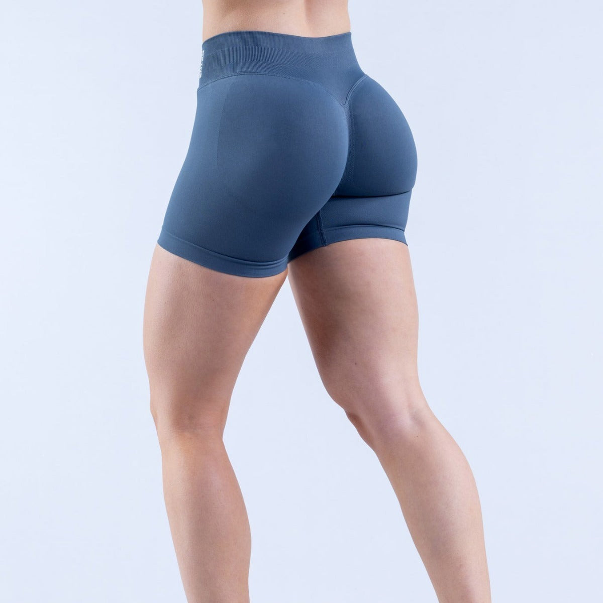 High Elastic Matte Nylon Seamless Low Waist Shorts Fitness Yoga Shorts
