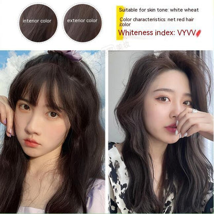 Ammonia-free Hair Color Paste Monochrome Paste Cover White Hair Multi-segment Color One-step Black Tea Gray Blue Black Hair Dye